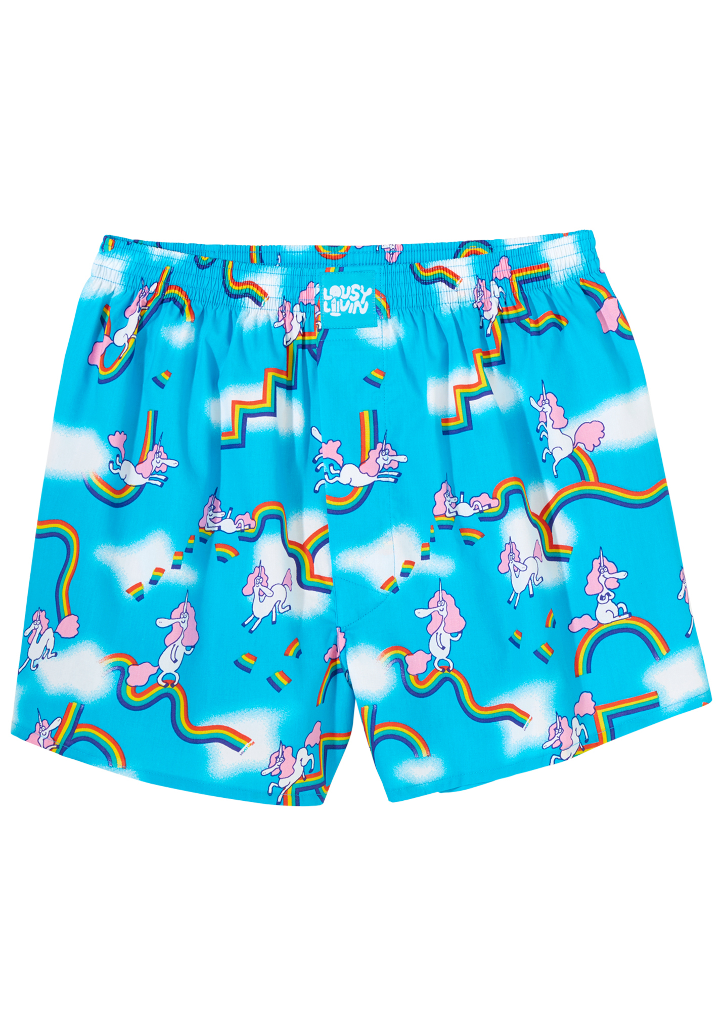 Lousy Livin Sky Gym Boxershorts blaues atoll S