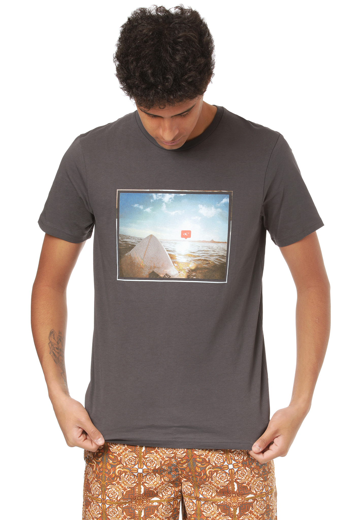 O'Neill Surfers View T-Shirts grey XXL