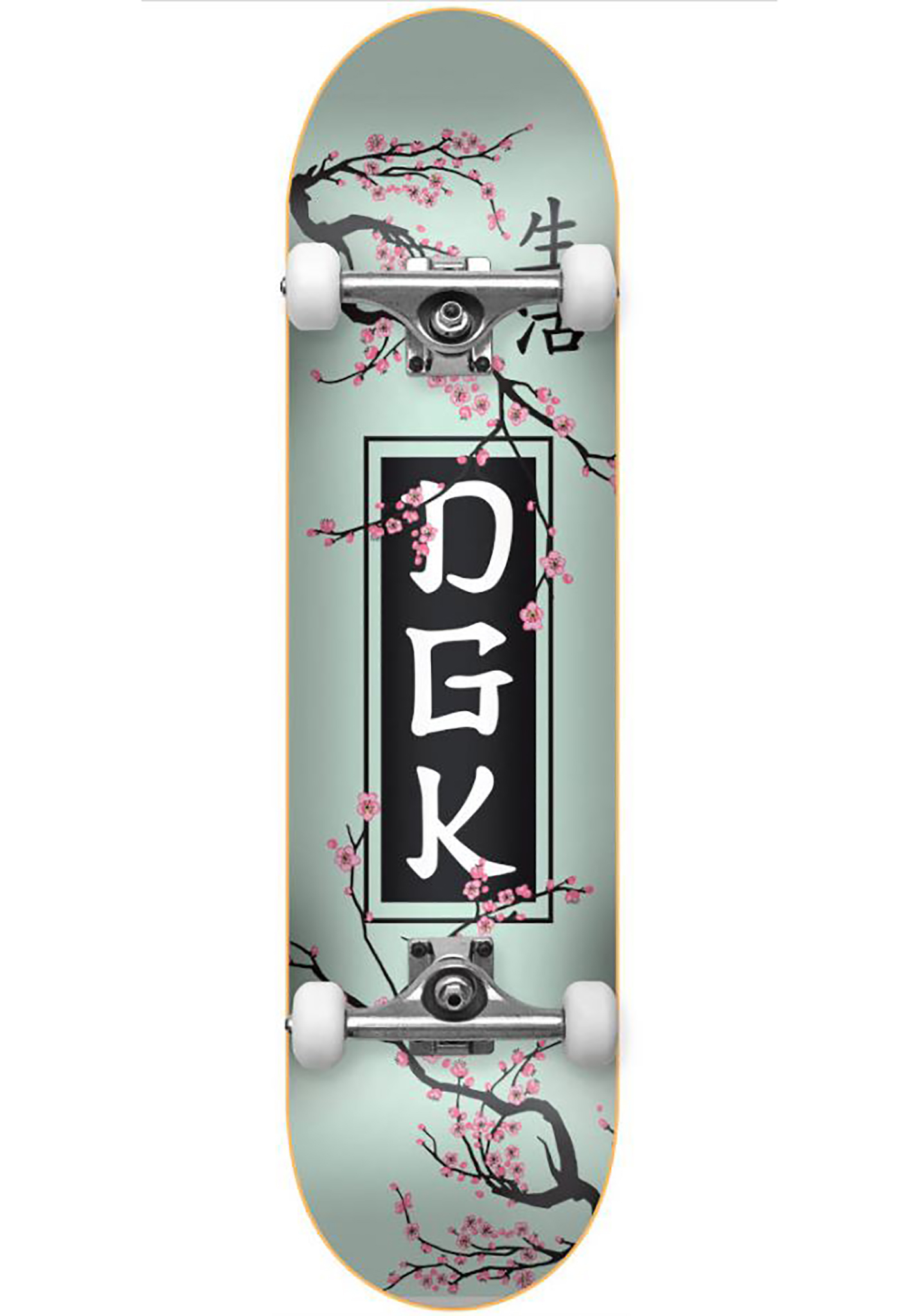 DGK Zen 8.0 Skateboards