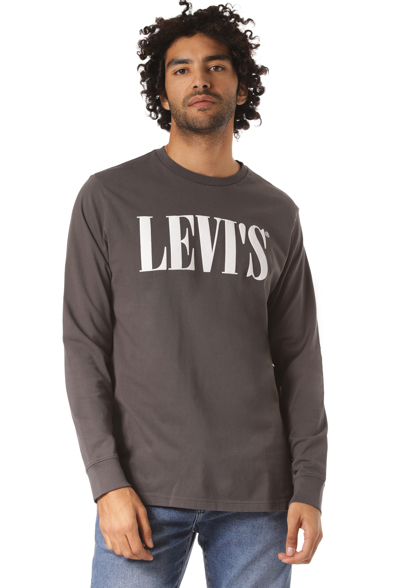 Levis Relaxed Graphic Sweatshirt serif logo ls schmiedeeisen L