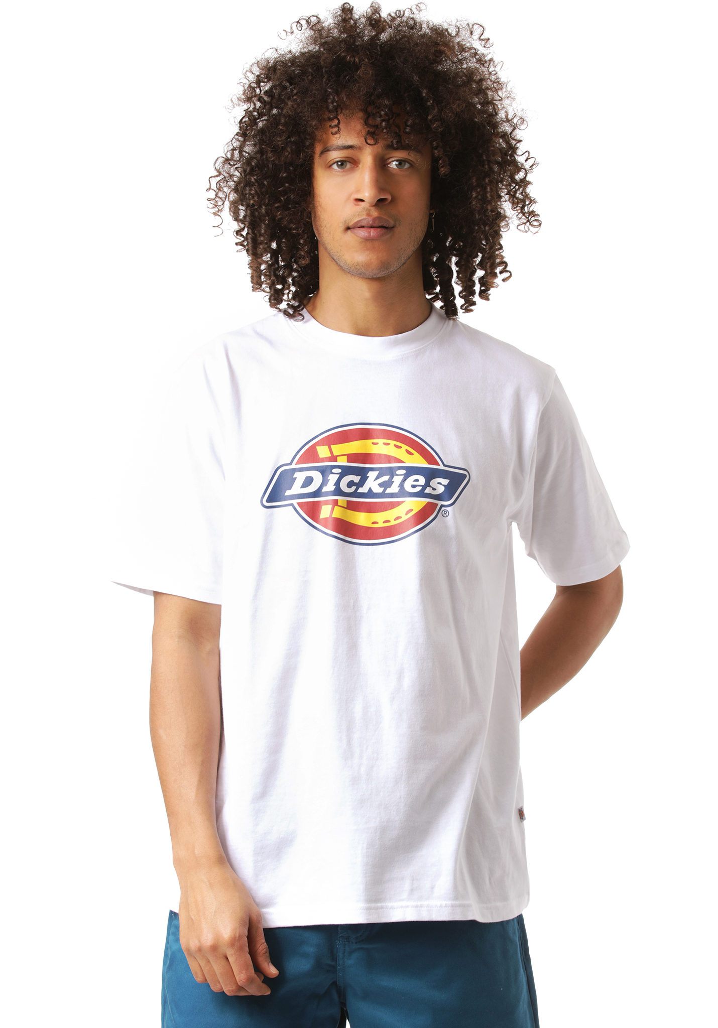 Dickies Icon Logo T-Shirt weiß XL