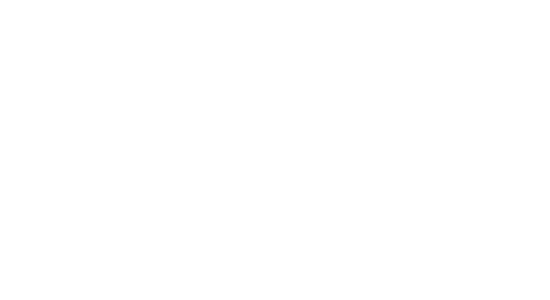 Vans Logo weiß