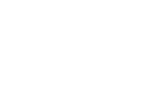 Lakeville Logo weiß