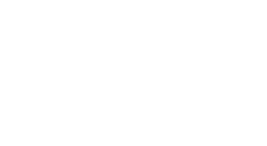 Salomon Logo Weiß
