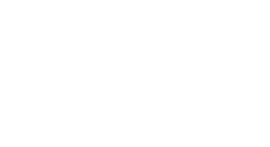Billabong Logo weiß